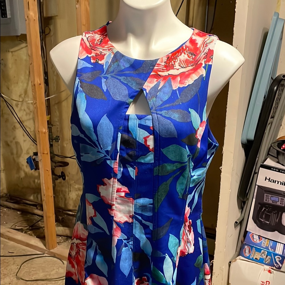 Hamilton Pink and Orange A-line Sleeveless Dress
